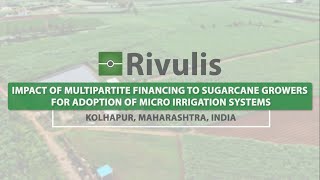 Rivulis Drip Irrigation Financing to Sugarcane Growers  English Rivulis India [upl. by Brewer]