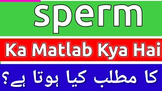 Sperm Meaning In Urdu  Sperm Meaning  Sperm Ka Matlab Kya Hota Hai  Sperm Ka Matlab Kya Hai [upl. by Hinkle]