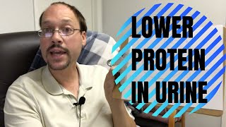 How To Lower Protein in urine Proteinuria amp Improve Kidney Health amp Kidney Function [upl. by Eleanora]