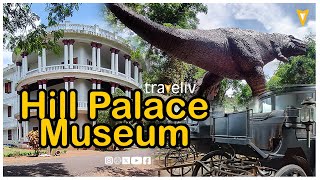 Hill palace ഹിൽ പാലസ് തൃപ്പൂണിത്തറ എറണാകുളം [upl. by Itak912]