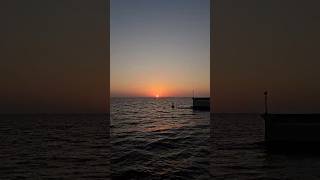 Opacarophile🌞youtubeshorts shortfeed shortvideo redsea jeddahcorniche [upl. by Dyraj]