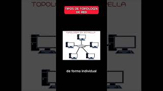 ✅Tipos de Topología de RED [upl. by Collen]