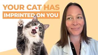 The 10 Signs Your Cat Has Imprinted On You [upl. by Riane869]