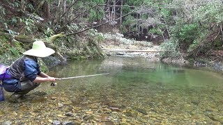 Japanese Mountain Stream Lure Fishing [upl. by Ramsay164]