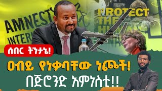 ሰበር ትንታኔ‼️ ዐብይ የነቃባቸው ነጮች በጅሮንድ አምነስቲ‼️ [upl. by Burck]