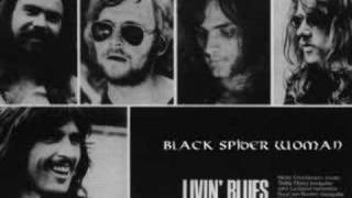 Livin Blues  Black Spider Woman live about 1975 [upl. by Sid]