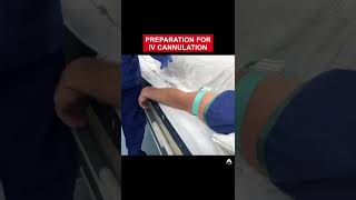 Preparation for IV Cannulation  shorts ivcannulation anesthesiology nurse [upl. by Enirehtak298]