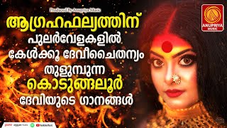 കൊടുങ്ങല്ലൂർ സ്പെഷ്യൽ ഭക്തിഗാനങ്ങൾ Kodungallur Amma Songs  Devotional songs [upl. by Pearce681]