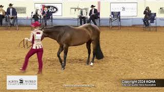 2024 AQHYA World Championship Show 1418 Showmanship [upl. by Wonacott]