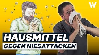 Stop deine Allergie Diese Hausmittel helfen mir Weniger Niesen Kratzen Jucken [upl. by Llertnahs]