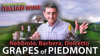 Piedmonts Wine TRILOGY Nebbiolo Barbera Dolcetto  Italian Wine 101 [upl. by Adnih]