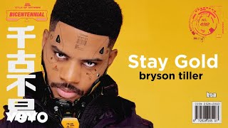 Bryson Tiller  Stay Gold Visualizer [upl. by Fi]