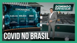 Brasil contabiliza 19938358 casos de coronavírus e 556834 mortes [upl. by Eyahc]