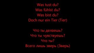 Tier  Rammstein HD Lyrics Текст песни и перевод [upl. by Anaej]