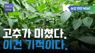 저는 말씀드릴 수 있습니다 이건 진짜 기적이다 고추를 따다 따다 지쳤다니까요 클라스만 고객이 전하는 진짜 이야기  우리는 그의 이야기를 들어보기로 했다  클라스만 데일만 [upl. by Amann]