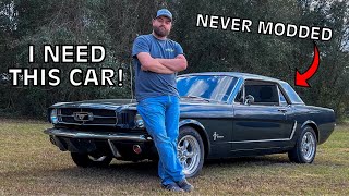 All Original 1965 Mustang V8 Survivor Car What a Rare Unit [upl. by Airrotal]