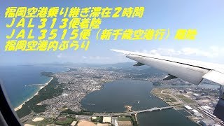 福岡空港離着陸 改装後ターミナル内をぶらり 2019914 [upl. by Nolasba]