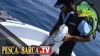 Come pescare le grandi lecce  Pesca Dalla Barca TV [upl. by Marchall798]