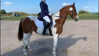 Prelim 12 dressage test 1st place 711 [upl. by Novi]