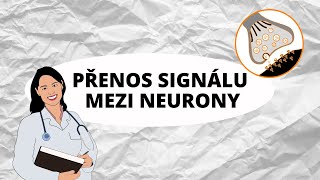 NERVOVÁ SOUSTAVA  Přenos signálu mezi neurony [upl. by Harlen571]