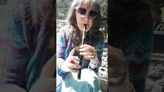 Tin Whistle Tuition ORoukes The Merry Sisters Colonel Frazer [upl. by Ancilin]