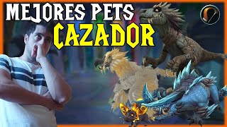 🐾 MEJORES MASCOTAS para CAZADOR 🏹  World of Warcraft DRAGONFLIGHT [upl. by Maltz]