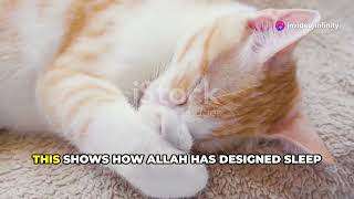 quotSleep is an extraordinary blessing from Allahquot  Infinity Learning  Episode  21 [upl. by Galan]