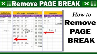 How to Remove PAGE BREAK in excel  Remove Page Brake in Page setting  learning center in Hindi [upl. by Gladdy]