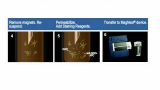 Circulating Tumor Cells as Biomarkers An Abbreviated Course Part 2 of 2 [upl. by Pearce]