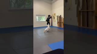 Matayoshi Kobudo Association Intl Shodan Test  Tonkuwa Dai Ichi [upl. by Gambell]