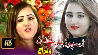 Pashto Best Song  Zama Disposible janan by Dilraj [upl. by Jayne457]