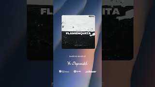 Flamenquita by Toni y Mane music [upl. by Shanly]