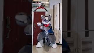 Just stay cool manHENSHIN ！henshinchallenge dancechallenge dance fursuitdance [upl. by Thelma]