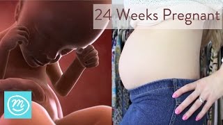 24 Weeks Pregnant What You Need To Know  Channel Mum [upl. by Kirschner]