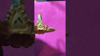 Only 3 Gm Gold Ring 💍 Veiw 2024 jewellery shortvideo ring gold goldjewellerydesignsforwomen [upl. by Risley122]