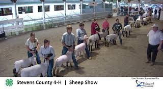 2024 Sheep Show  Stevens County 4H [upl. by Willtrude]