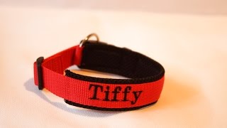 DIY Hundehalsband nähen [upl. by Otero]