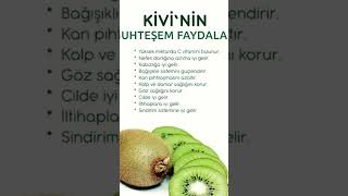 KİVİNİN FAYDALARI [upl. by Rajiv999]