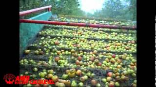 AMB ROUSSET  RAMASSEUSE A POMMES R35  CIDER APPLE HARVESTER R35  RECOGEDORA DE MANZANAS R35 [upl. by Cally117]