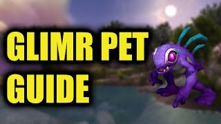 Glimr Guide New Shadowlands Secret Pet [upl. by Anahsor]