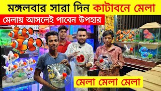 Aquarium Price In Bangladesh 🐠Aquarium Fish Price In BD 😱 Aquarium Fish Price In Katabon 2024 [upl. by Brian247]