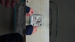 How to Mix Plaster of Paris for Pouring Craft Not for Sculpting Easy plaster art plasterofparis [upl. by Auginahs]