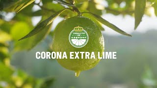 Corona  Corona Extra Lime case study [upl. by Sirenay]