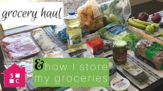 Weekly Grocery Haul and How I Store My Groceries 011818 [upl. by Nutter92]