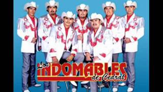 Los Indomables de Cedral  La ausencia de tu amor [upl. by Ecire]