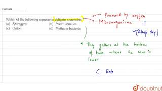 Which of the following represents obligate anaerobes [upl. by Feola]