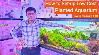 How to Set up Planted Aquarium at Low Cost 🤔  Planted fish tank Pari Aquarium Kurla fish Market [upl. by Lenej775]