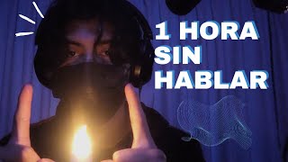 ASMR 1 HORA sin hablar🔇🔇 tocando objetos  mouth sounds ✨️✨️ [upl. by Kulseth]