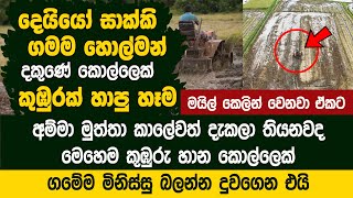 අම්මටසිරි වෙන යාමනක්නේ එක මඩේ යන්නේ  Dimo Boat Tractor [upl. by Ainatit]