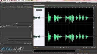 Generic Voice Mail Message in Adobe Audition [upl. by Rube]